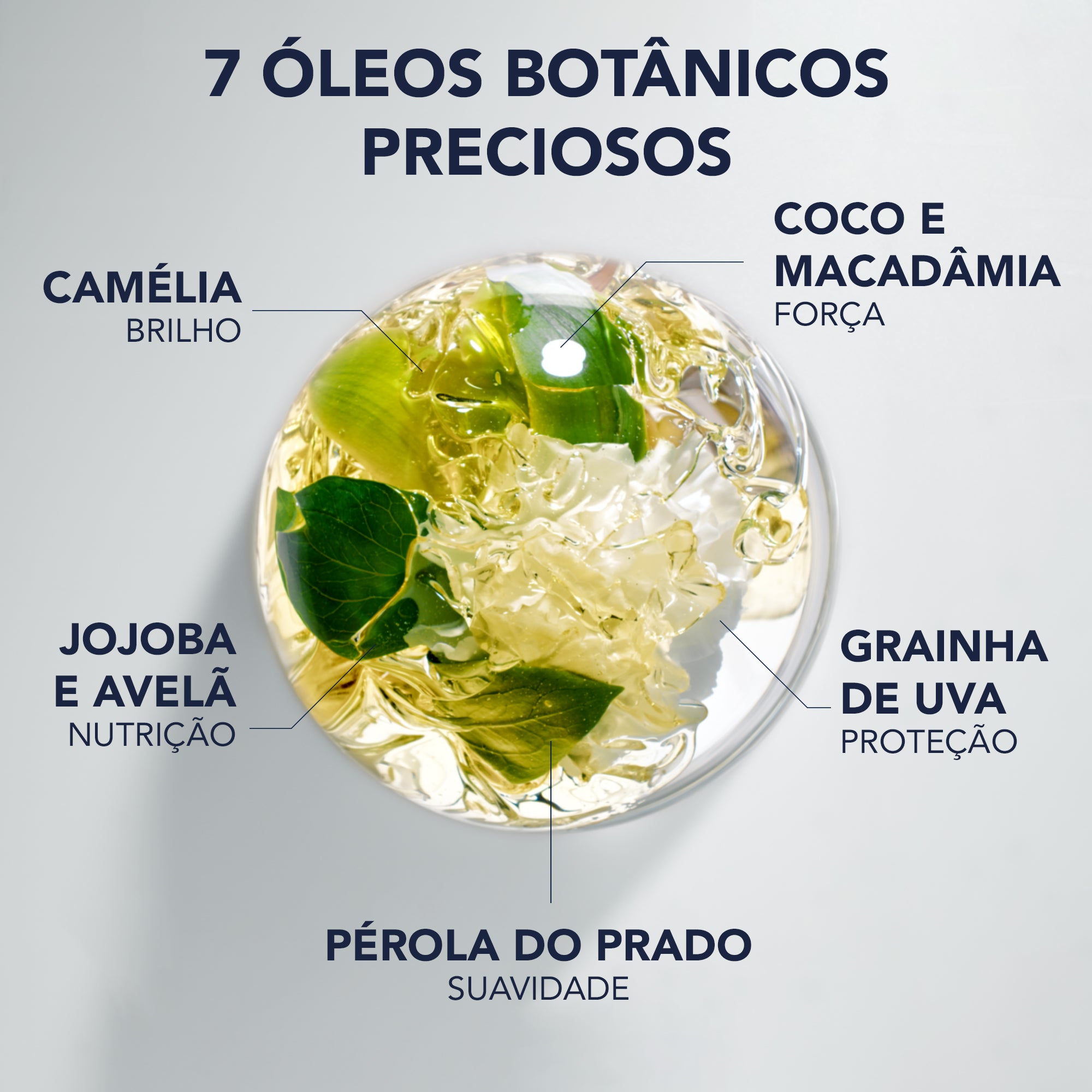 Phyto 7 Elixir-Universal Sublime Oil - 100ml - Healtsy