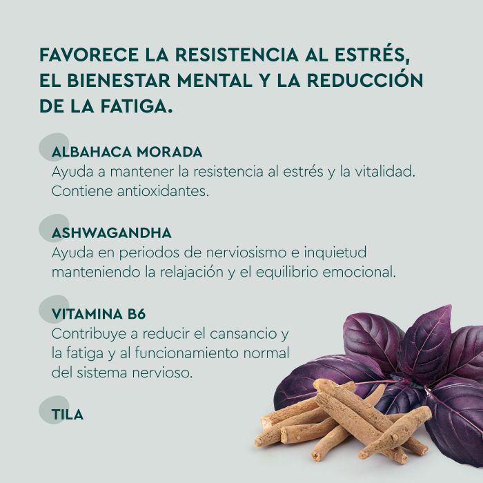 Kneipp Stress (x60 Gummies) - Healtsy