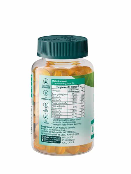 Kneipp Memory (x60 gummies) - Healtsy