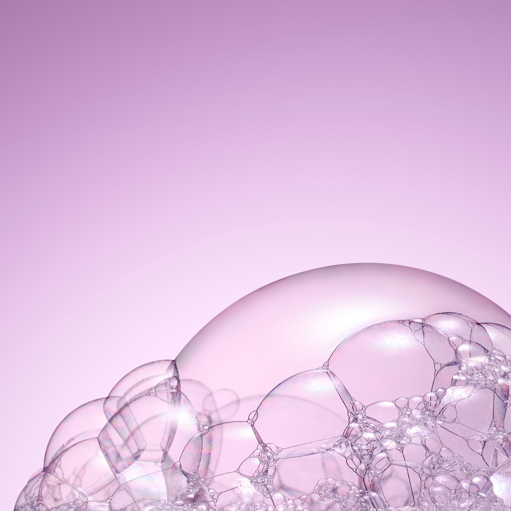 Nuxe Hair Prodigieux Mirror Shine Shampoo - 200ml – Buy Now at Healtsy