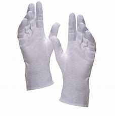 Sanger Prima Cotton Gloves_ Size. M – Buy Now at Healtsy