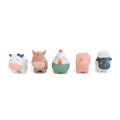 Saro Funny Farm Castor 0367 – Buy Now at Healtsy