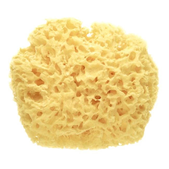 Saro Hygiene Natural Premium Sponge (ref. 0964) – Buy Now at Healtsy