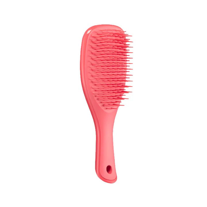Tangle Teezer Mini Detangler Brush PinkPunch – Buy Now at Healtsy
