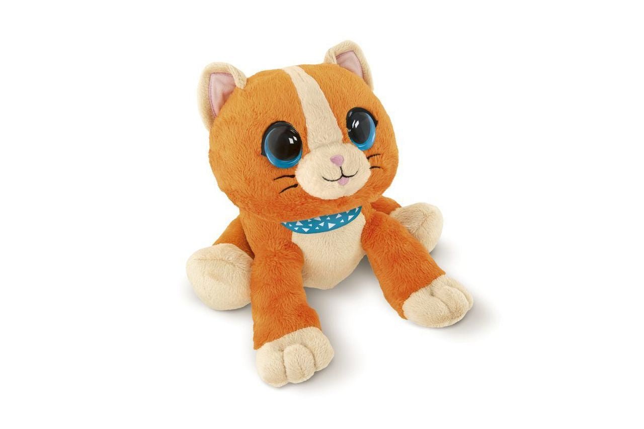 Chicco Kitten #peak a boo" _18M+ – Buy Now at Healtsy