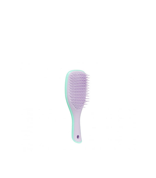 Tangle Teezer Hair Brush Wet Mini Green/Lilac - Healtsy