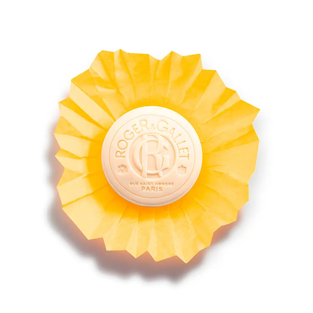 Roger & Gallet Bois Orange Soap 100g - Healtsy