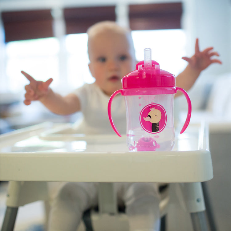 Dr Brown's Pink Straw Cup 270ml - Healtsy