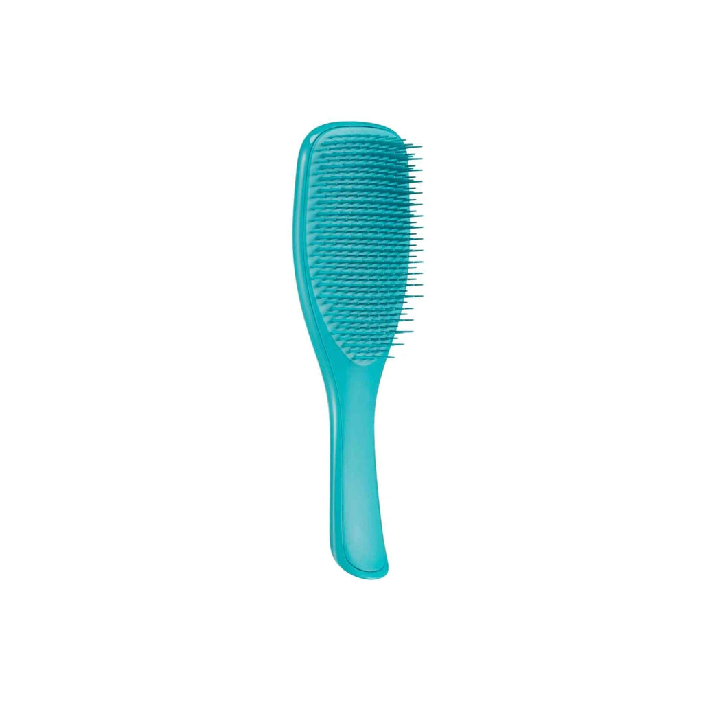 Tangle Teezer Detangler Brush Teal - Healtsy