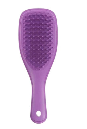 Tangle Teezer Detangler Brush Mini Purple - Healtsy