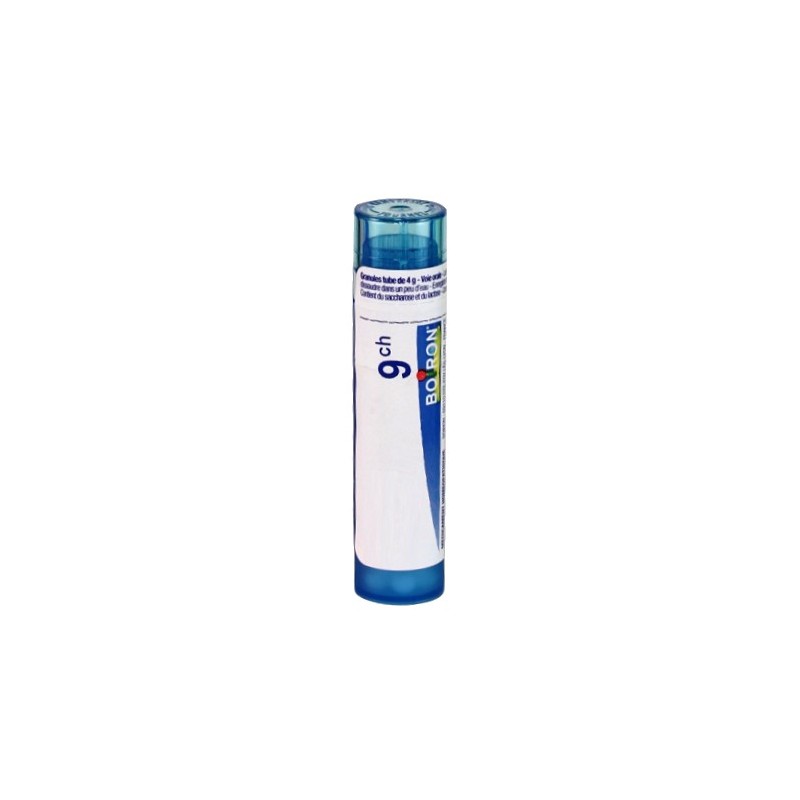 Boiron Zincum Metallicum Granule 9CH - Healtsy