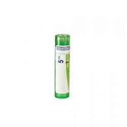Boiron Arsenicum Album Granule 5CH - Healtsy