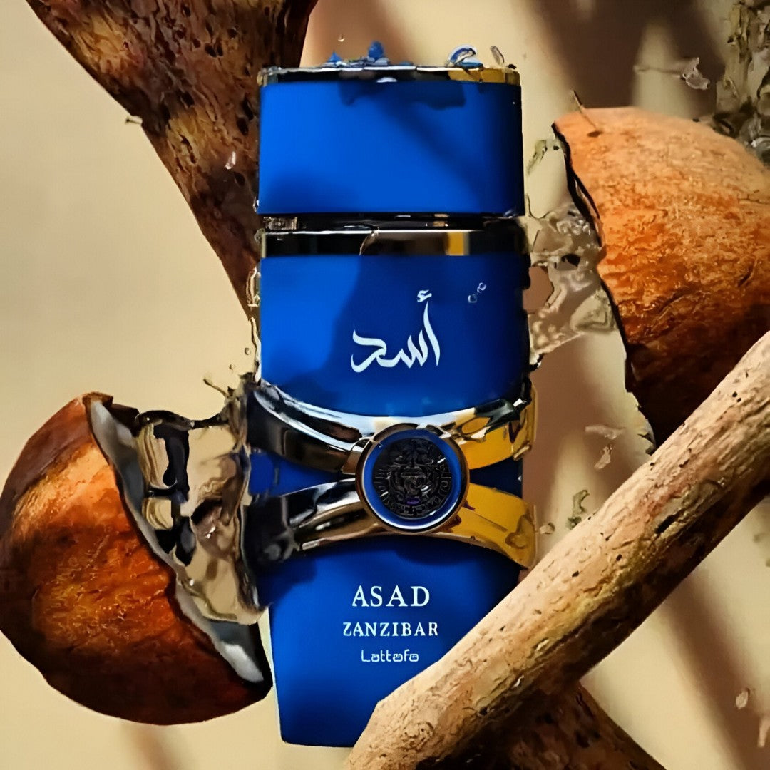Lattafa Asad Zanzibar Eau Parfum Men 100mL - Healtsy