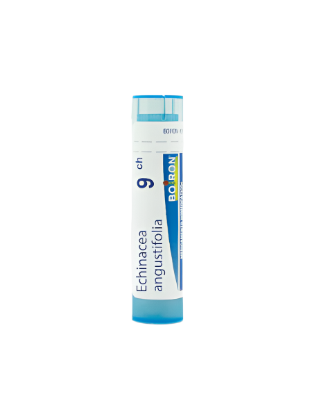 Boiron Echinacea Angusti Granule 9CH - Healtsy