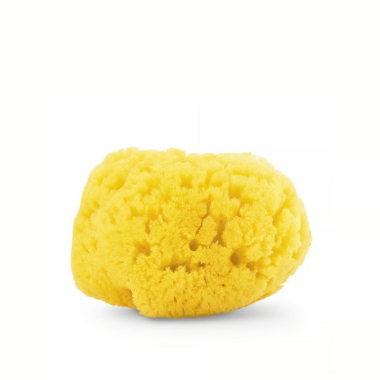 Chicco Natural Sponge Media