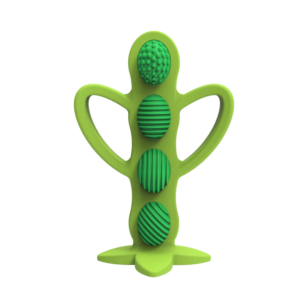 Dr Browns Pea Teether_ 3M+ - Healtsy