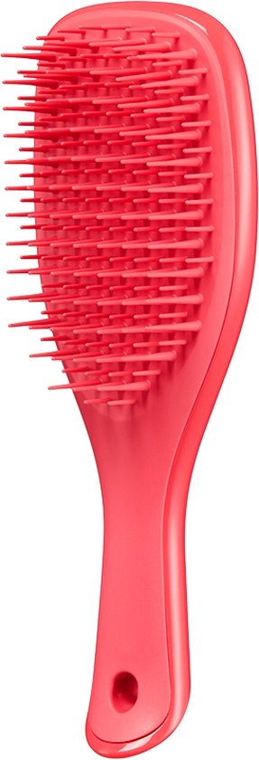 Tangle Teezer Mini Detangler Brush PinkPunch - Healtsy