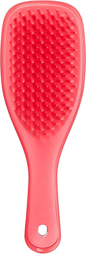 Tangle Teezer Mini Detangler Brush PinkPunch - Healtsy