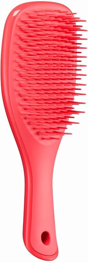 Tangle Teezer Mini Detangler Brush PinkPunch - Healtsy