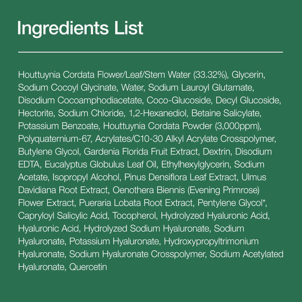 Anua Heartleaf Quercetinol Pore Deep Clean 150ml - Healtsy