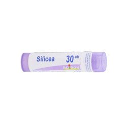 Boiron Silicea Granule 30CH – Buy Now at Healtsy