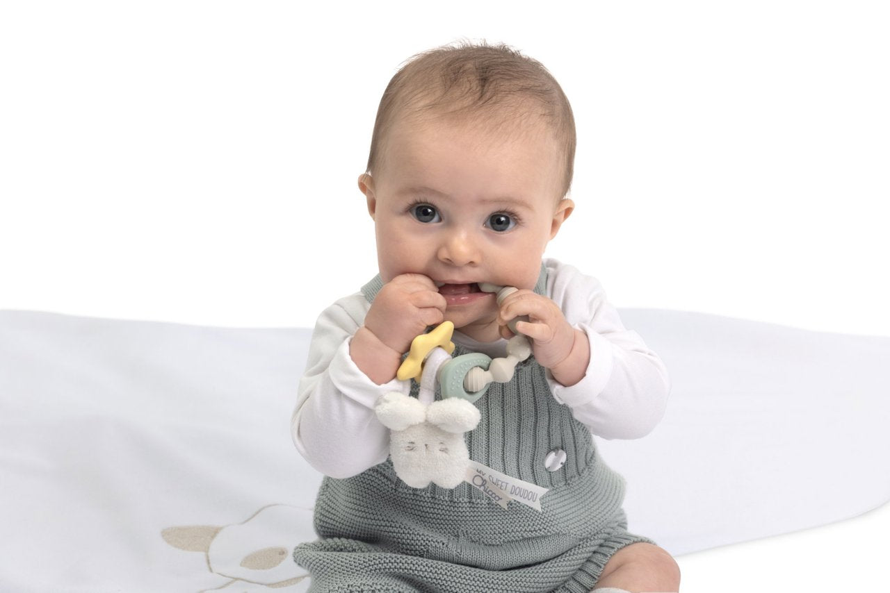 Chicco Teething Ring Bunny Doudou (ref Ch.Bri12540000000) - Healtsy