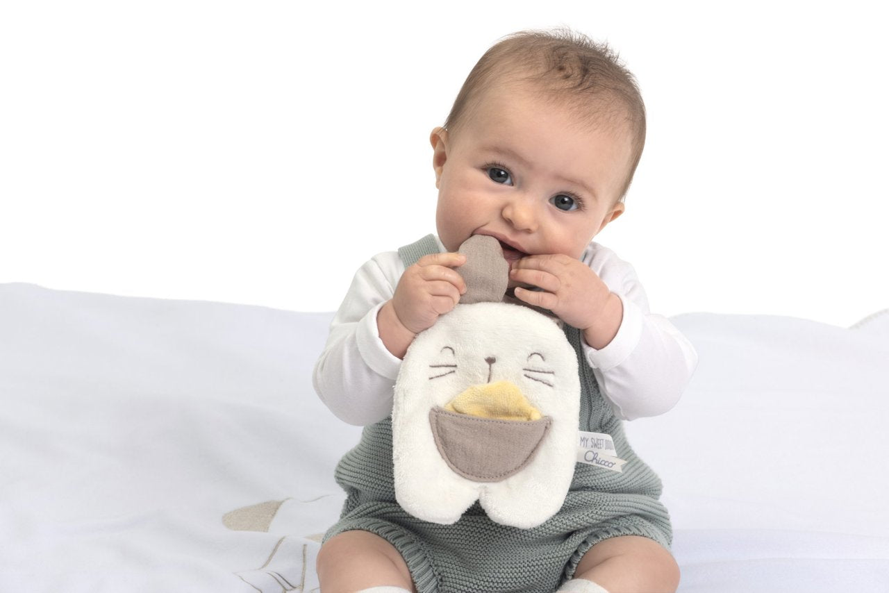Chicco Bunny Pacifier Holder (ref. Ch.Bri12543000000) - Healtsy