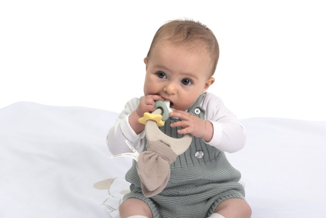 Chicco Teething Toy Rabbit Doudou (ref. Ch.Bri12204000000) - Healtsy