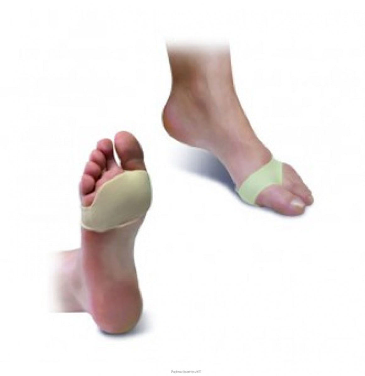 Zanni Silicone Metatarsal Protector_Size S (ref. 04751) - Healtsy