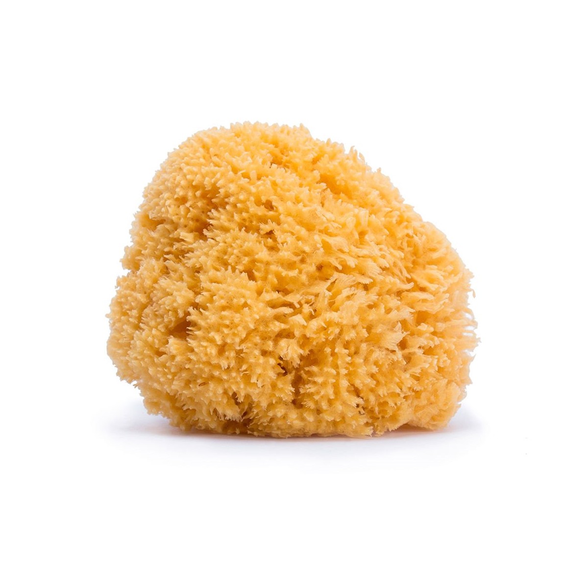 Suavinex Natural Sponge Large +0M - Healtsy