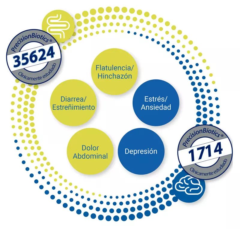 Symbiosys Alflorex Dual Action (x30 capsules) – Buy Now at Healtsy