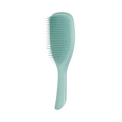 Tangle Teezer Dark Teal El Detangler Brush - Healtsy