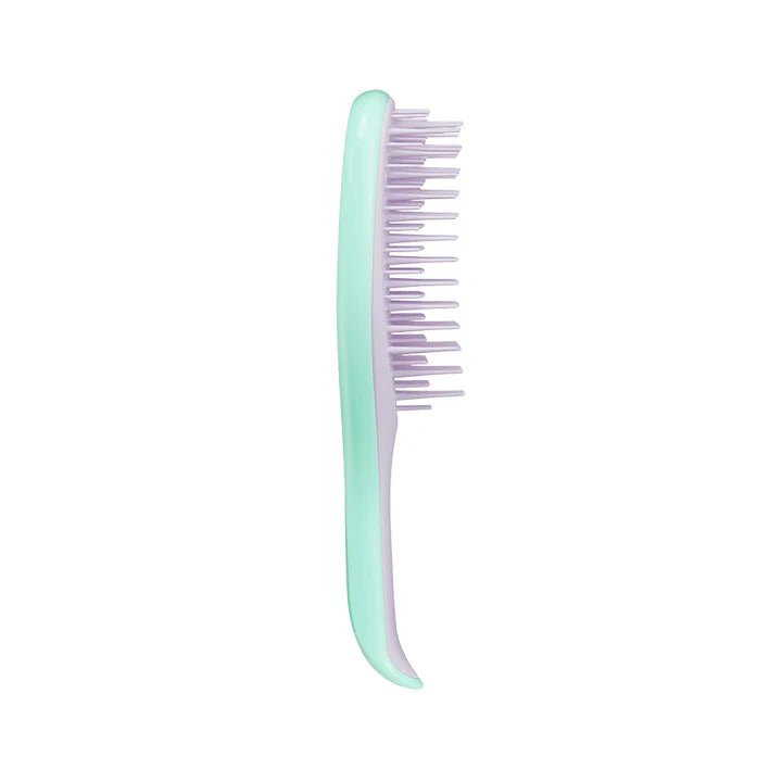 Tangle Teezer Hair Brush Wet Mini Green/Lilac – Buy Now at Healtsy