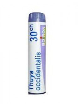 Boiron Thuya Occidentali Granulo 30CH – Buy Now at Healtsy