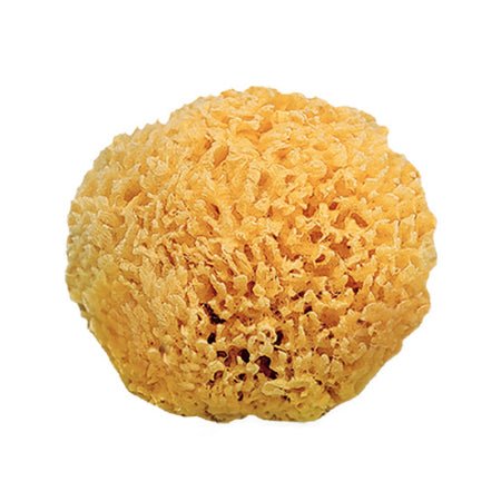 Saro Hygiene Natural Sponge – Buy Now at Healtsy