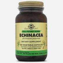 Solgar Echinacea Extract (x60 capsules) – Buy Now at Healtsy