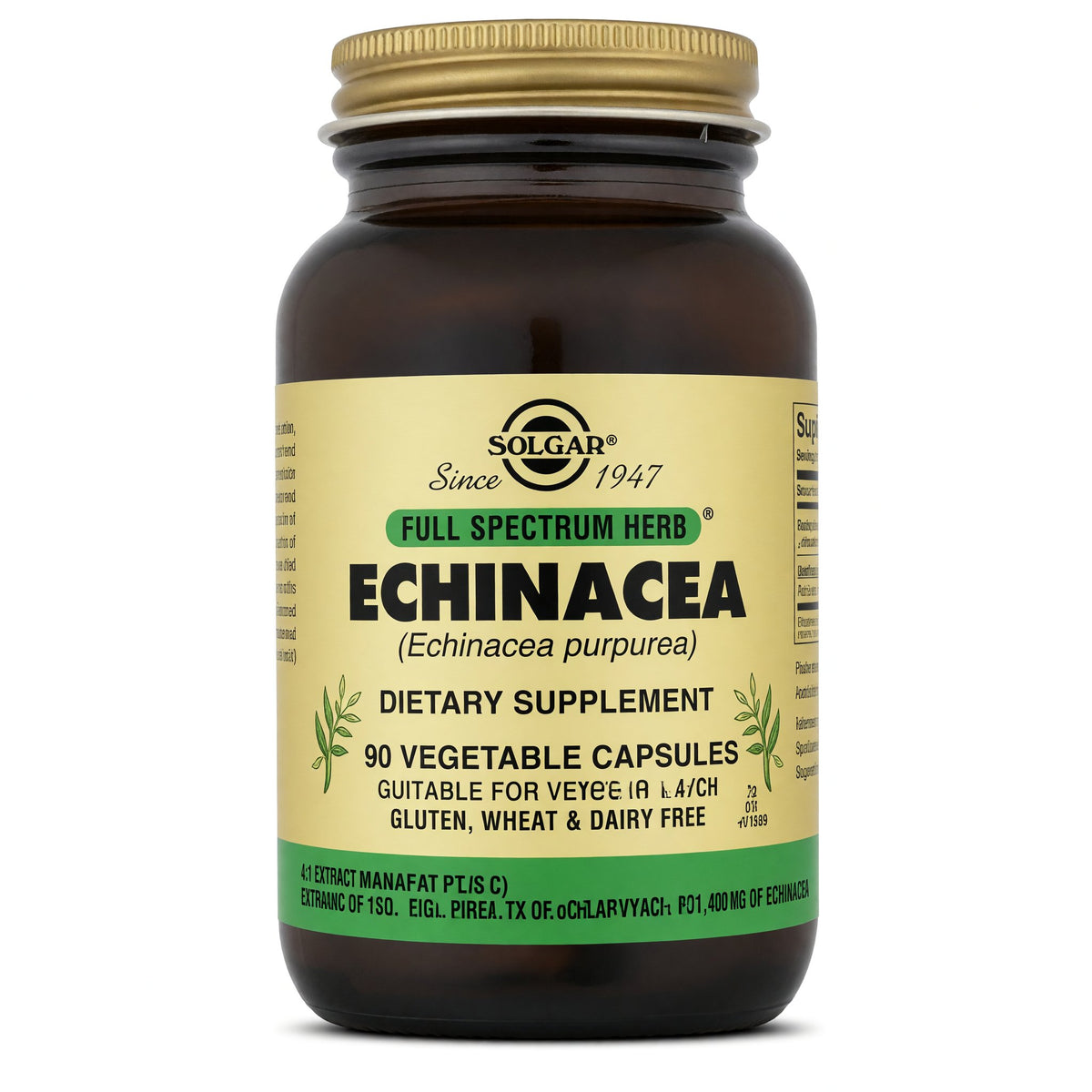 Solgar Echinacea Extract (x60 capsules) – Buy Now at Healtsy [grok-v1]